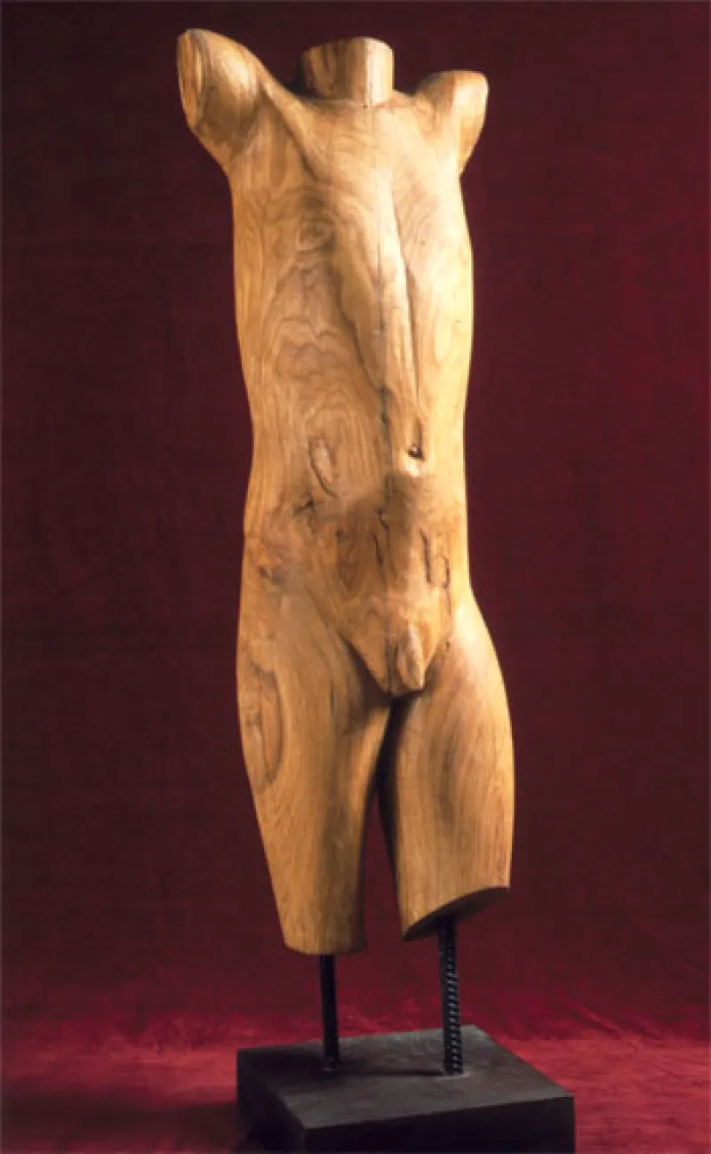Torso of a man
wood, 110x35x30 cm
1990