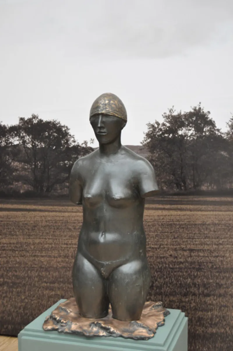 A Swimmer
bronze
100x50x40cm
2009
